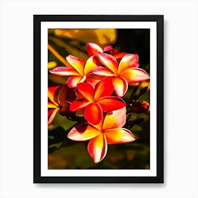 Plumeria Flowers In Amazon Rainforest Art Print