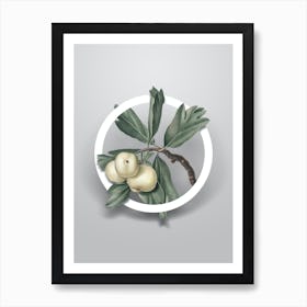 Vintage Hawthorne Minimalist Flower Geometric Circle on Soft Gray n.0557 Art Print