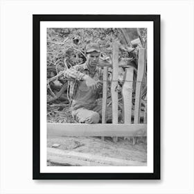 Untitled Photo, Possibly Related To Jack Whinery Fencing With Handsplit Rails On His Homestead At Pie Town, New Art Print