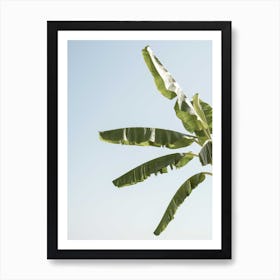 Waving Leaves Art Print