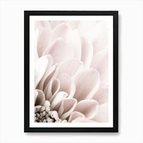 Pink Flower_2066807 Art Print