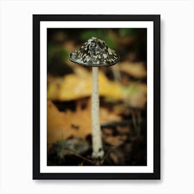 Brown Mushroom // Nature Photography 4 Art Print