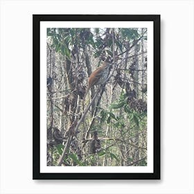 Bird on a branch Art Print