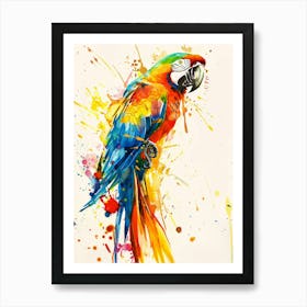 Parrot Colourful Watercolour 4 Art Print