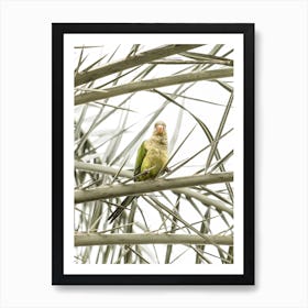Parrot In Palm Tree Art Print