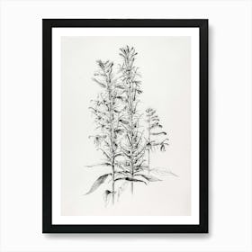 Sassafras 1 Art Print