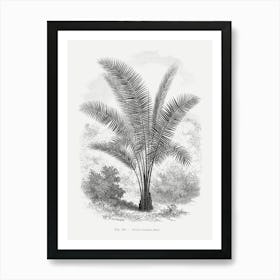 Vintage Palm Tree Art Print _2643190 Art Print