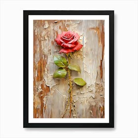 Rose On The Wall 1 Art Print