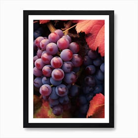 Autumn Grapes Art Print