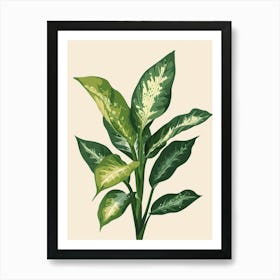 Dieffenbachia Plant Minimalist Illustration 2 Art Print