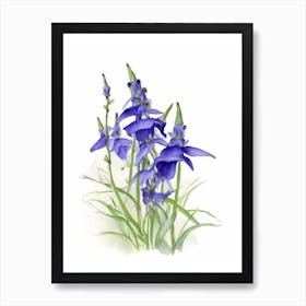 Blue Lobelia Wildflower Watercolour 1 Art Print