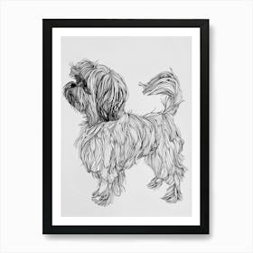 Lhasa Apso Dog Line Sketch 3 Art Print