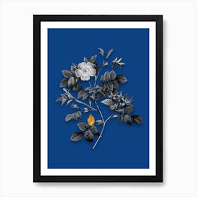 Vintage Malmedy Rose Black and White Gold Leaf Floral Art on Midnight Blue n.1073 Art Print