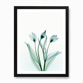 Tulips Art Print