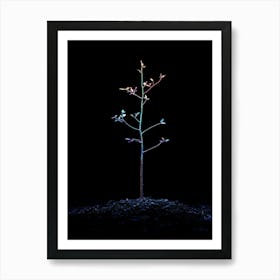 Tree Of Life 25 Art Print