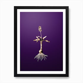 Gold Botanical Scilla Lingulata on Royal Purple n.2428 Art Print