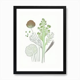 Celery Seeds Spices And Herbs Minimal Line Drawing 5 Art Print