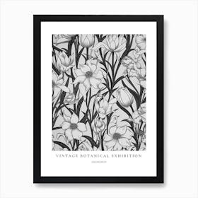 Snowdrop B&W Vintage Botanical Poster Art Print