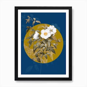 Vintage Botanical White Rose of Snow on Circle Yellow on Blue Art Print