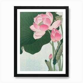 Lotus Flower 1 Art Print