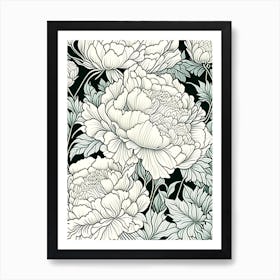 Lower Gardens Peonies 2 Drawing Art Print