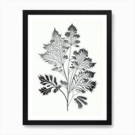 Lovage Herb William Morris Inspired Line Drawing 1 Art Print