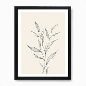 Eucalyptus 3 Art Print