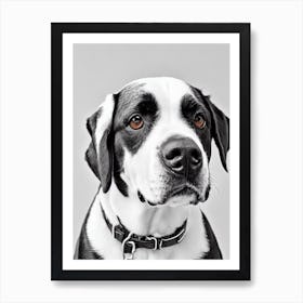 Entlebucher Mountain Dog B&W Pencil Dog Art Print