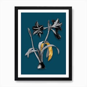 Vintage Brazilian Amaryllis Black and White Gold Leaf Floral Art on Teal Blue n.0875 Art Print