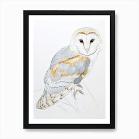 Barn Owl Drawing 1 Art Print