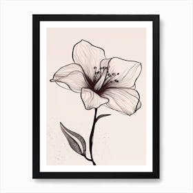 Lilies Line Art Flowers Illustration Neutral 12 Art Print