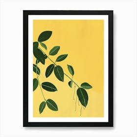 Wandering Jew Plant Minimalist Illustration 5 Art Print