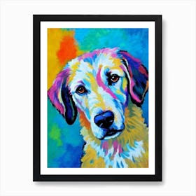 Kuvasz Fauvist Style Dog Art Print