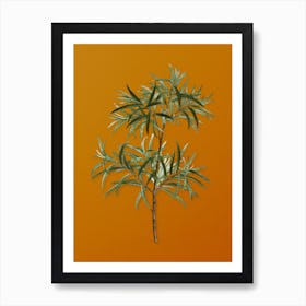 Vintage Bitter Willow Botanical on Sunset Orange n.0239 Art Print