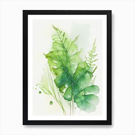 Water Fern Watercolour Art Print