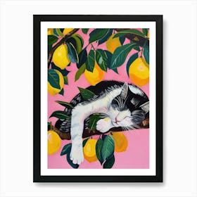 Sleeping Cat By Lemon Tree Art Print