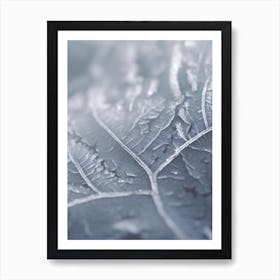 Frost On A Leaf 1 Art Print