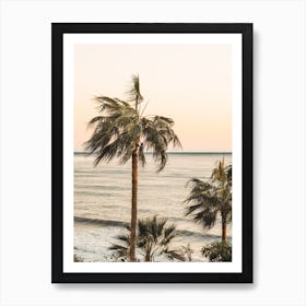 Tropical Sunset Art Print