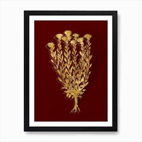 Vintage Globe Daisies Botanical in Gold on Red n.0128 Art Print