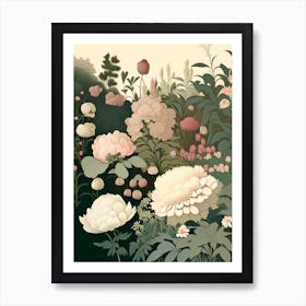 Mixed Perennial Beds Of Peonies 3 Vintage Sketch Art Print