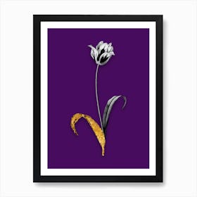 Vintage Didiers Tulip Black and White Gold Leaf Floral Art on Deep Violet n.0830 Art Print