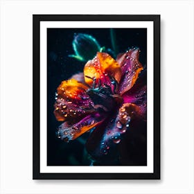 Water Droplets On A Flower Art Print