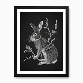 American Sable Rabbit Minimalist Illustration 3 Art Print