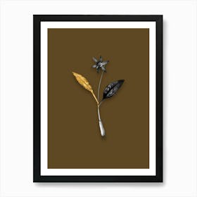 Vintage Erythronium Black and White Gold Leaf Floral Art on Coffee Brown n.0182 Art Print