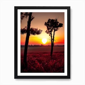 Sunset In The Field 18 Art Print