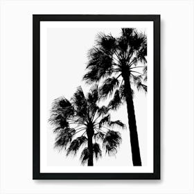 Palm Trees B&W_2251409 Art Print