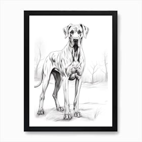 Great Dane Dog, Line Drawing 2 Art Print