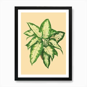 Dieffenbachia Plant Minimalist Illustration 6 Art Print