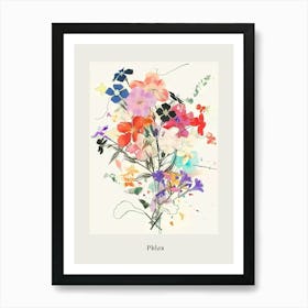 Phlox 2 Collage Flower Bouquet Poster Art Print