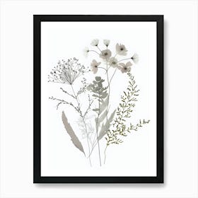 Minimalist Wildflower Floral Botanical Neutral Flower Art Print